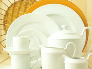 Whiteware - limoges porcelain